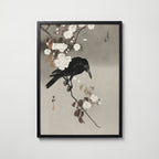 Crow and Cherry Blossom i svart ram på vägg – köp enkelt hos Bozetto affisch i hög kvalitet