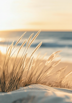Meadow Beach Feeling – köp enkelt hos Bozetto konsttryck i hög kvalitet i hög kvalitet
