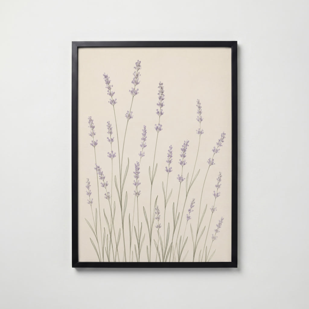 Slender Lavender Field i svart ram på vägg – köp enkelt hos Bozetto affisch i hög kvalitet