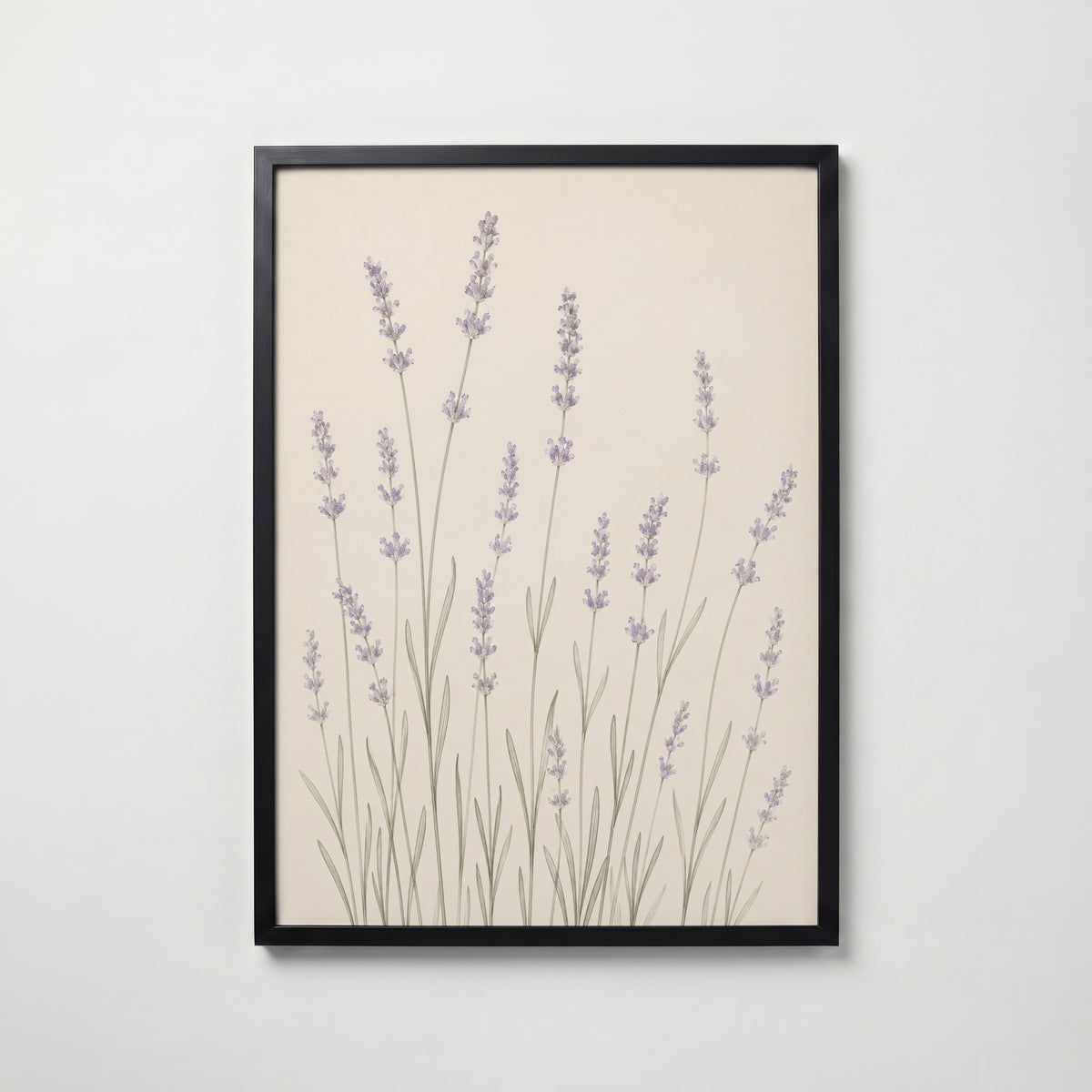 Slender Lavender Field i svart ram på vägg – köp enkelt hos Bozetto affisch i hög kvalitet