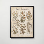 Pasta Botanica Poster – svart ram