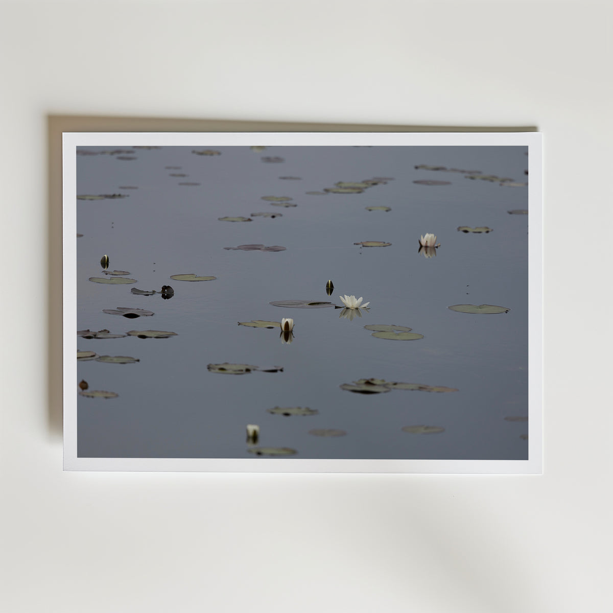 Water Lilies at Maderna inramad affisch – konsttryck från Bozetto i hög kvalitet