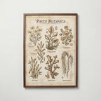 Pasta Botanica Poster – valnötsram