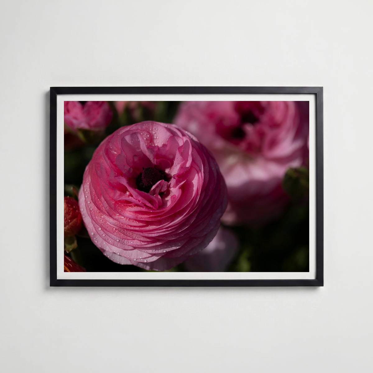 Pink Heaven affisch i modern svart ram – stark kontrast och stil, Bozetto poster