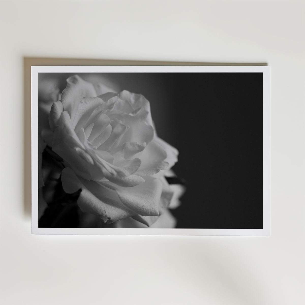 A Scent Of A Rose affisch inramad i neutral ram – konsttryck från Bozetto – nr 1
