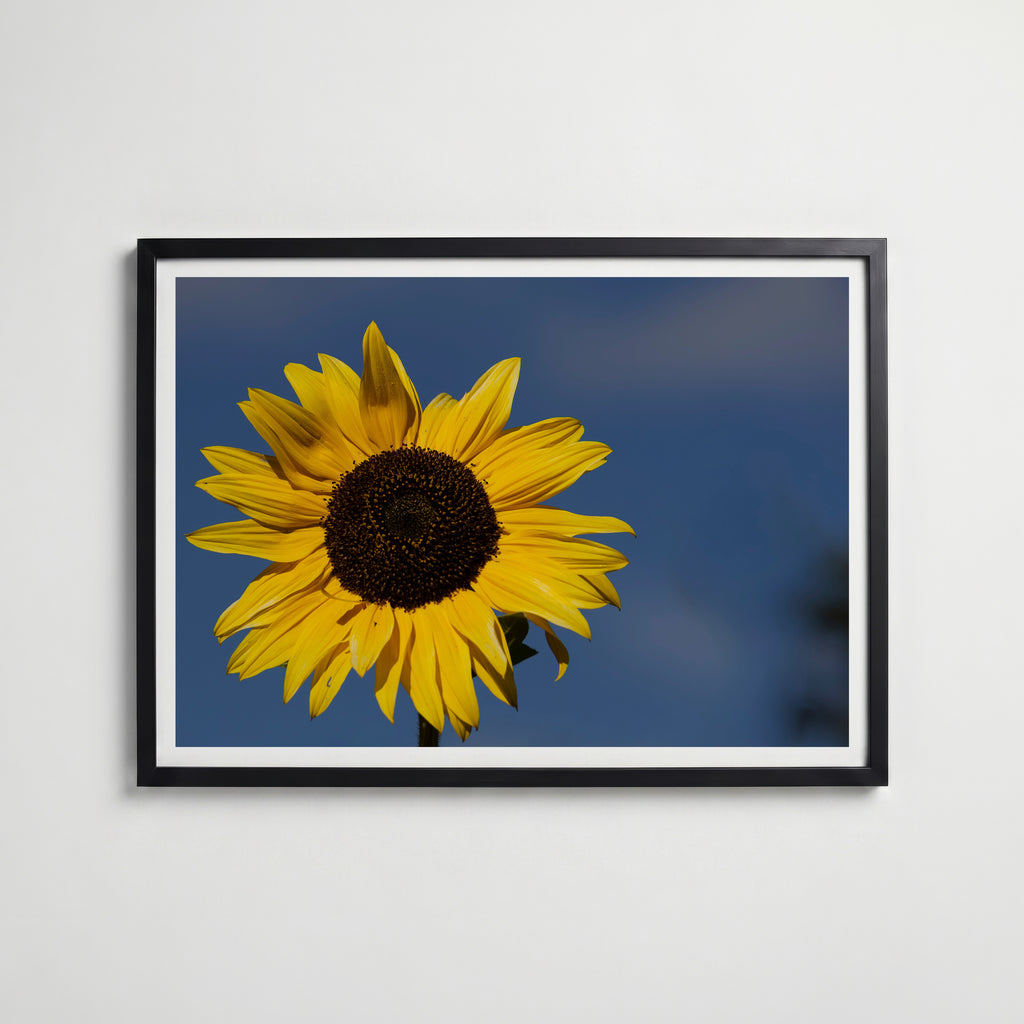 A Sunny Day affisch i modern svart ram – stark kontrast och stil, Bozetto poster