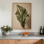 Velvet Leaf Curl poster i stilrent hem med modern inredning – köp enkelt hos Bozetto
