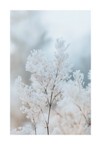 Frozen Branches – affisch med snyggt motiv, köp enkelt hos Bozetto i flera storlekar