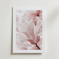 Blush Rose Magnolia Flower – stilfullt konsttryck från Bozetto, tryckt på matt finpapper
