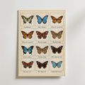 Butterfly Grid Poster – canvas utan passepartout