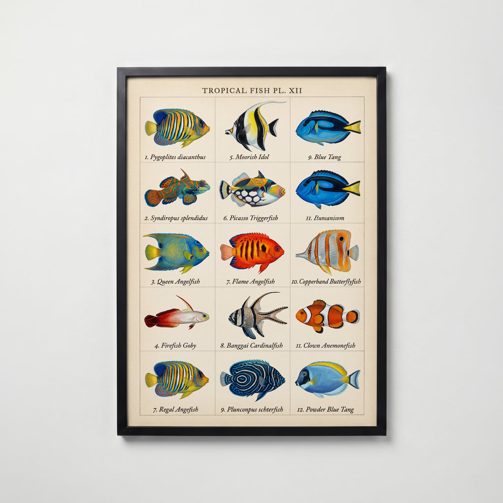Tropical Fish Grid Poster – svart ram