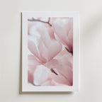 Blush Pink in Bloom – stilfullt konsttryck från Bozetto, tryckt på matt finpapper