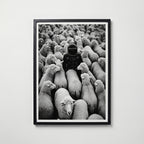Alone in the Crowd – affisch med snyggt motiv, köp enkelt hos Bozetto i flera storlekar