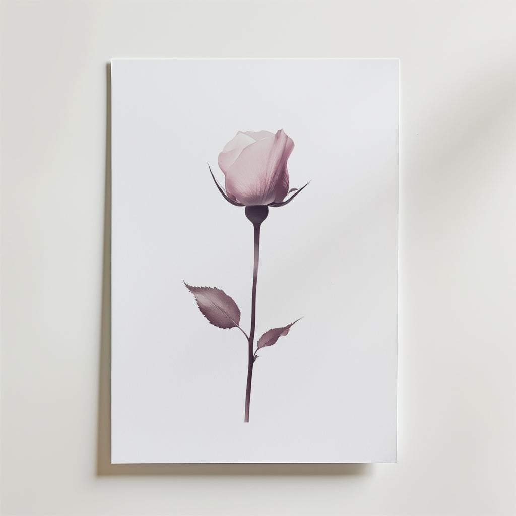 Elegant pink rose stem – stilfullt konsttryck från Bozetto, tryckt på matt finpapper
