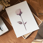 Elegant pink rose stem – affisch med stilfullt motiv från Bozetto i hög kvalitet