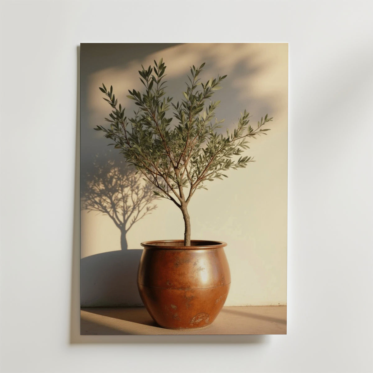 Potted olive tree in rustic – stilfullt konsttryck från Bozetto, tryckt på matt finpapper