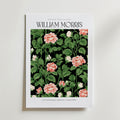 William Morris Rose Garden Bloom affisch på neutral bakgrund – poster från Bozetto