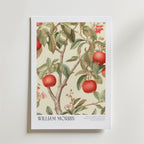 William Morris Crimson Orchard affisch på neutral bakgrund – poster från Bozetto