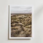 Coastal Dunes Path – stilfullt konsttryck från Bozetto, tryckt på matt finpapper