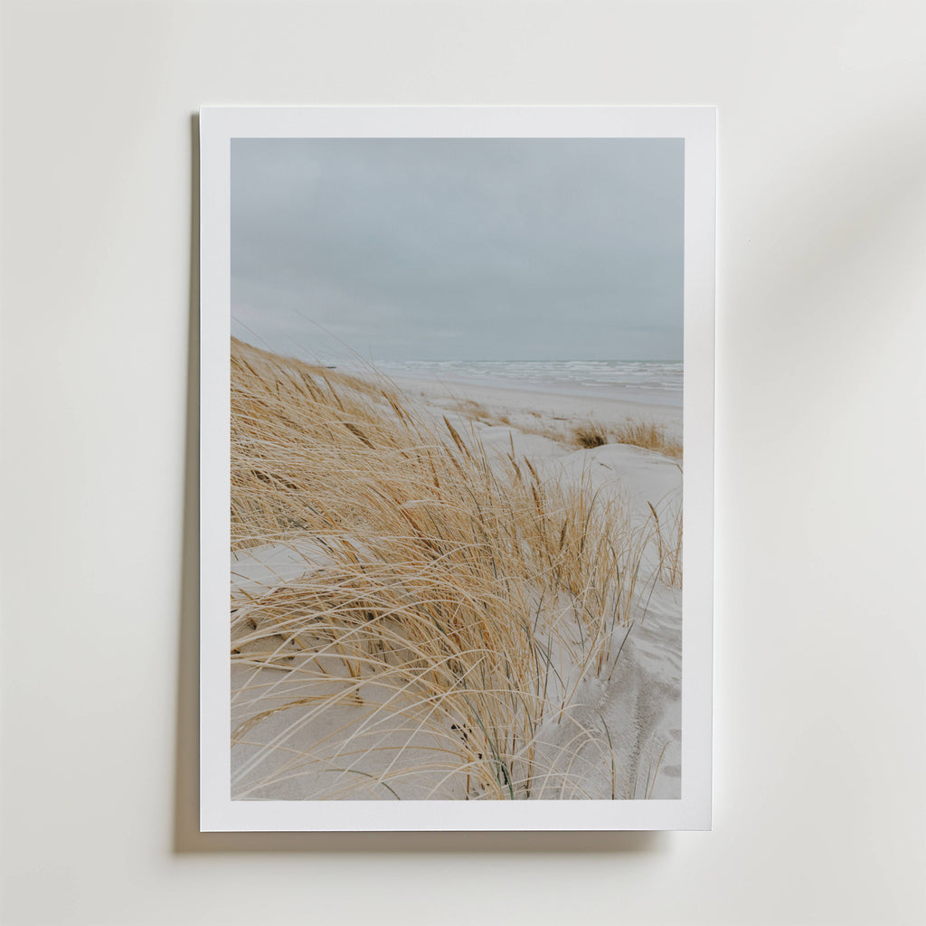 Windy Coast Dunes – stilfullt konsttryck från Bozetto, tryckt på matt finpapper i hög tryckkvalitet