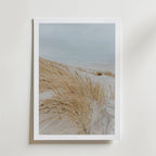 Windy Coast Dunes – stilfullt konsttryck från Bozetto, tryckt på matt finpapper i hög tryckkvalitet