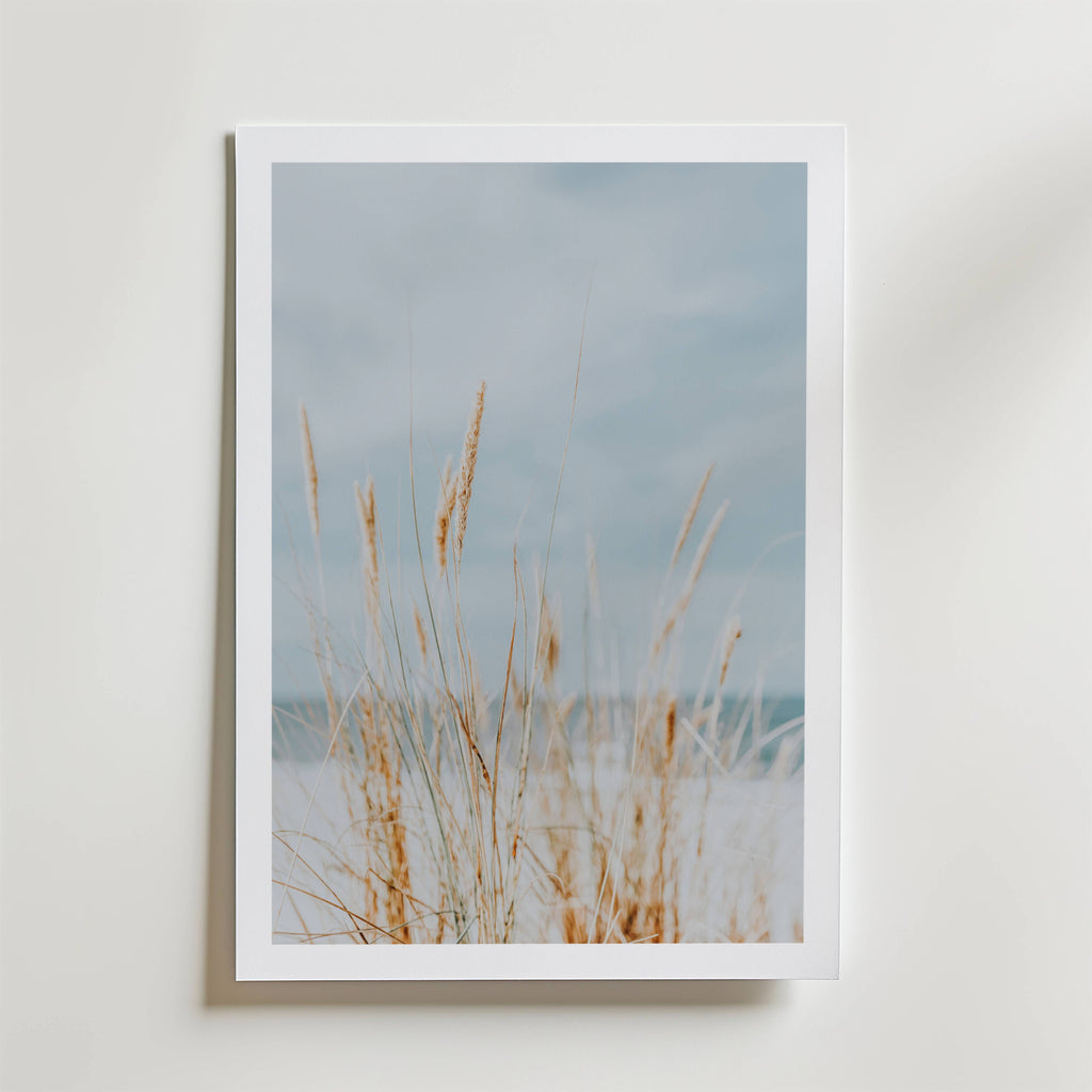 Soft Dune Grass – stilfullt konsttryck från Bozetto, tryckt på matt finpapper i hög tryckkvalitet