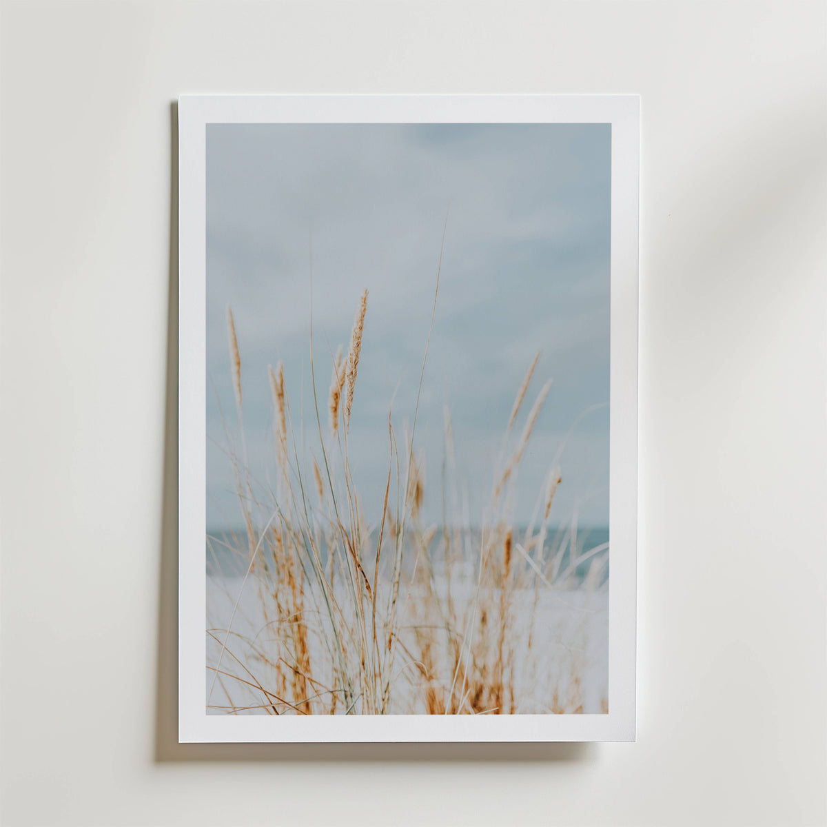 Soft Dune Grass – stilfullt konsttryck från Bozetto, tryckt på matt finpapper i hög tryckkvalitet