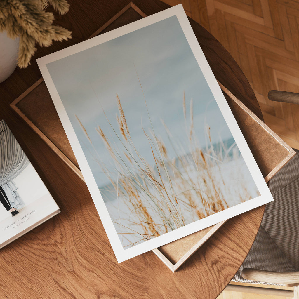 Soft Dune Grass poster visad rakt fram – Bozetto affisch i hög tryckkvalitet i hög tryckkvalitet