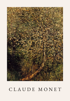Claude Monet Apple Tree poster visad rakt fram – Bozetto affisch i hög tryckkvalitet