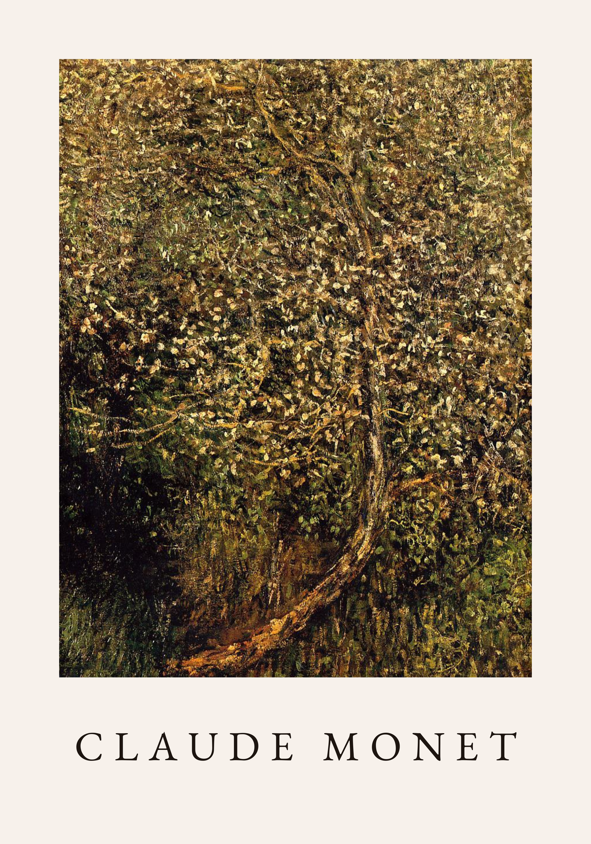 Claude Monet Apple Tree poster visad rakt fram – Bozetto affisch i hög tryckkvalitet