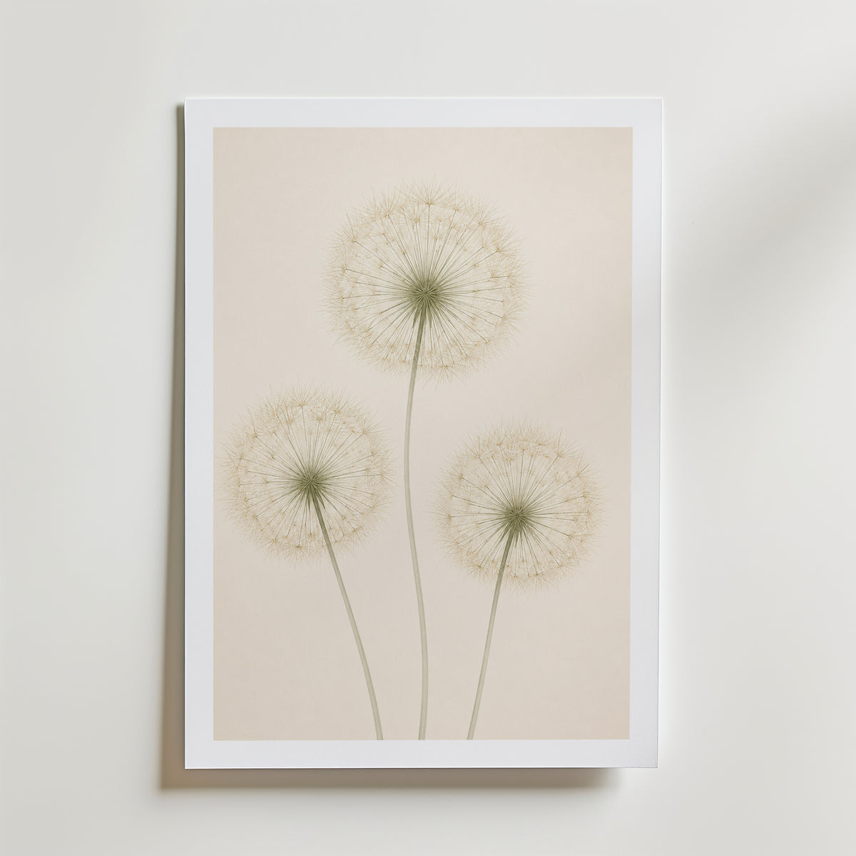 Quiet Dandelion Trio affisch inramad i neutral ram – konsttryck från Bozetto – nr 1