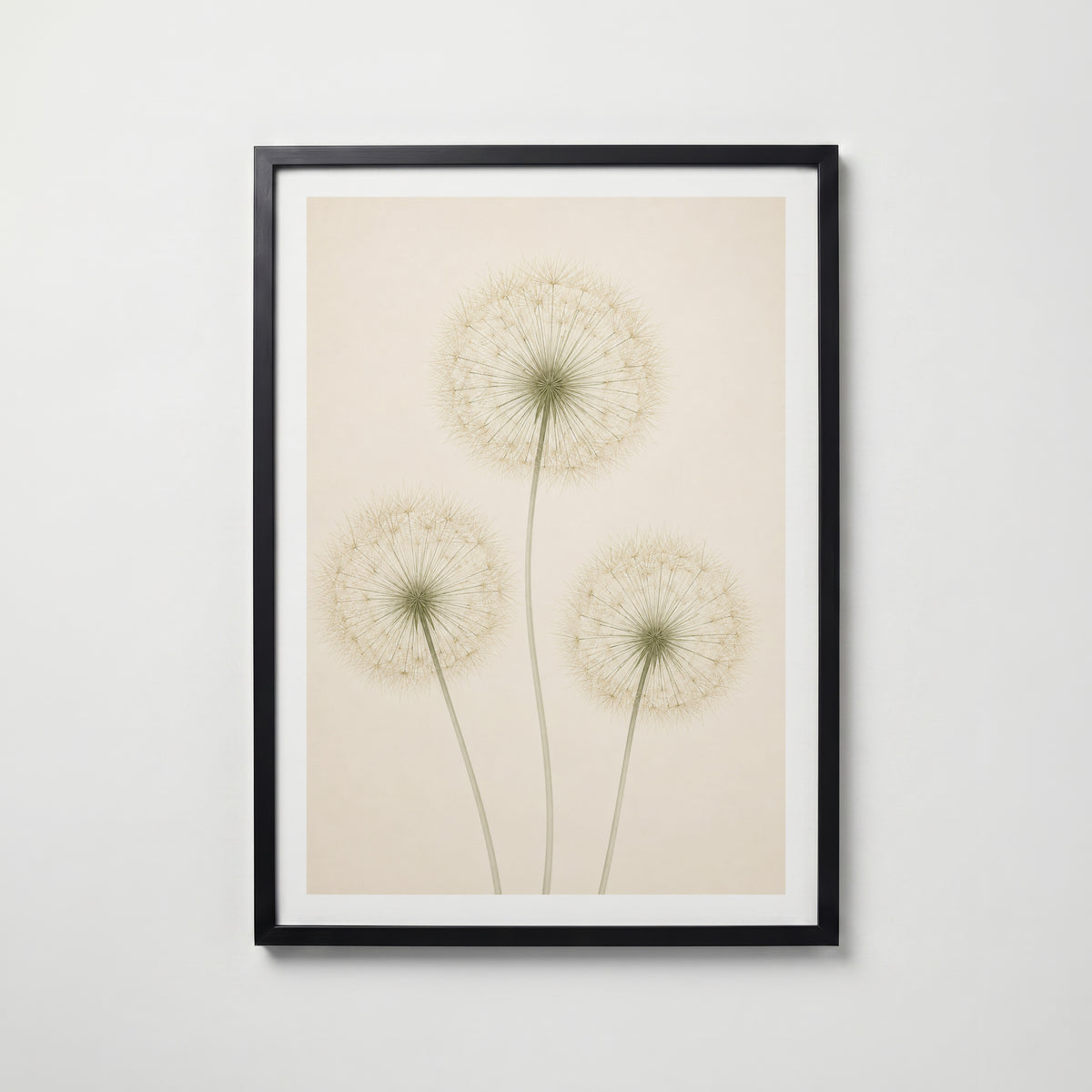 Quiet Dandelion Trio i svart ram på vägg – köp enkelt hos Bozetto affisch i hög kvalitet