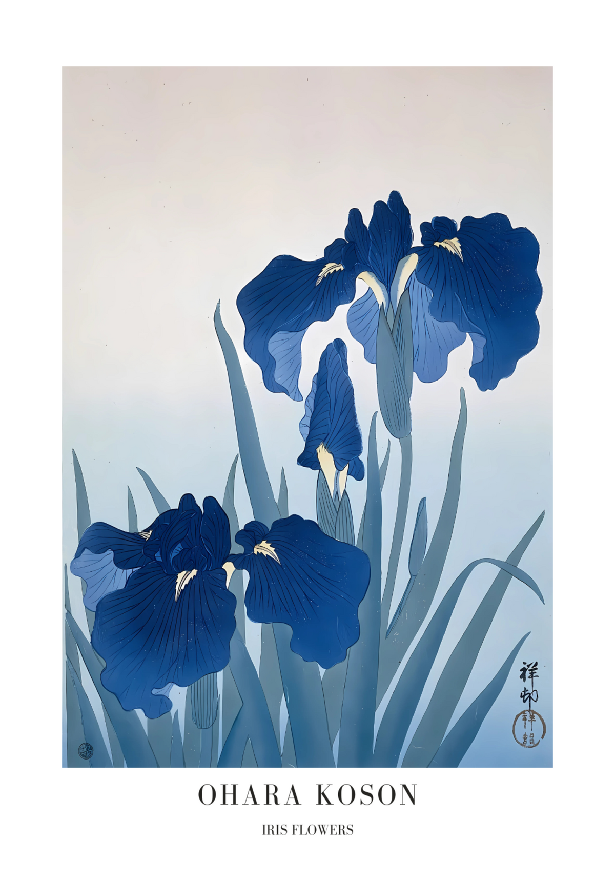 Iris flowers Ohara Koson poster visad rakt fram – Bozetto affisch i hög tryckkvalitet