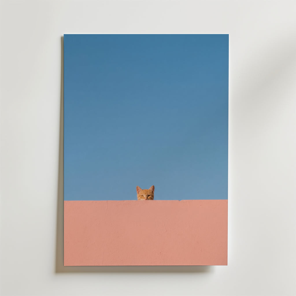 Curious Cat Horizon – stilfullt konsttryck från Bozetto, tryckt på matt finpapper