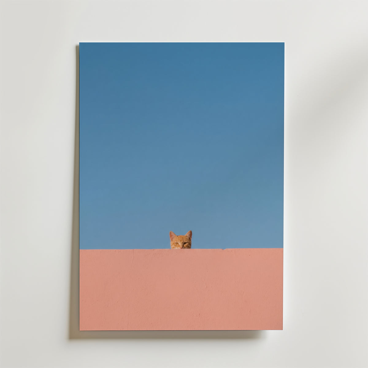 Curious Cat Horizon – stilfullt konsttryck från Bozetto, tryckt på matt finpapper