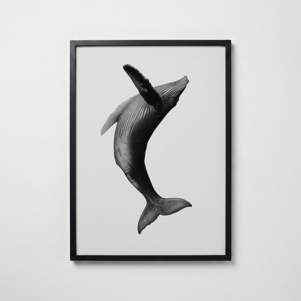 Breaching Whale Poster – svart ram