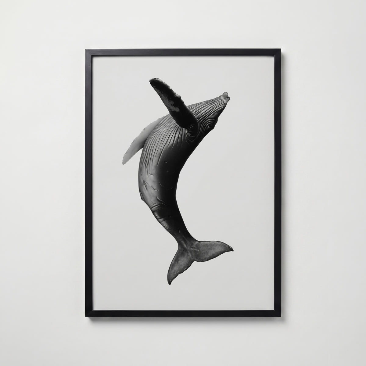 Breaching Whale Poster – svart ram