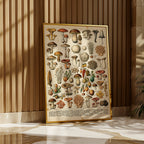 Champignons Divers Poster i rumskomposition med ekram