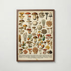 Champignons Divers Poster i vardagsrumsmiljö