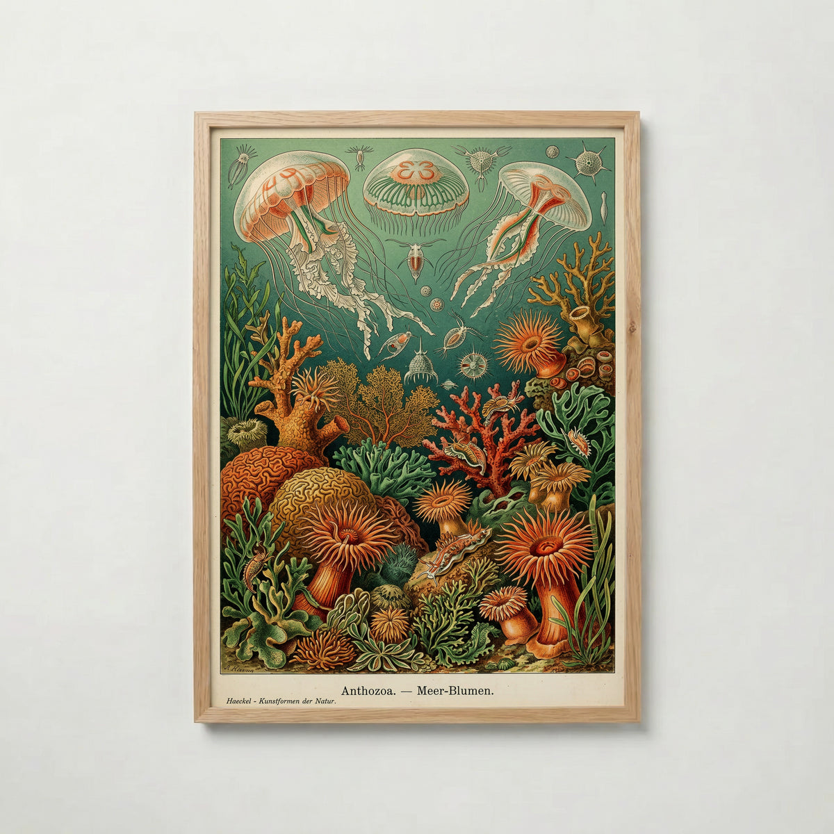 Deep Sea Bloom Poster med ekram