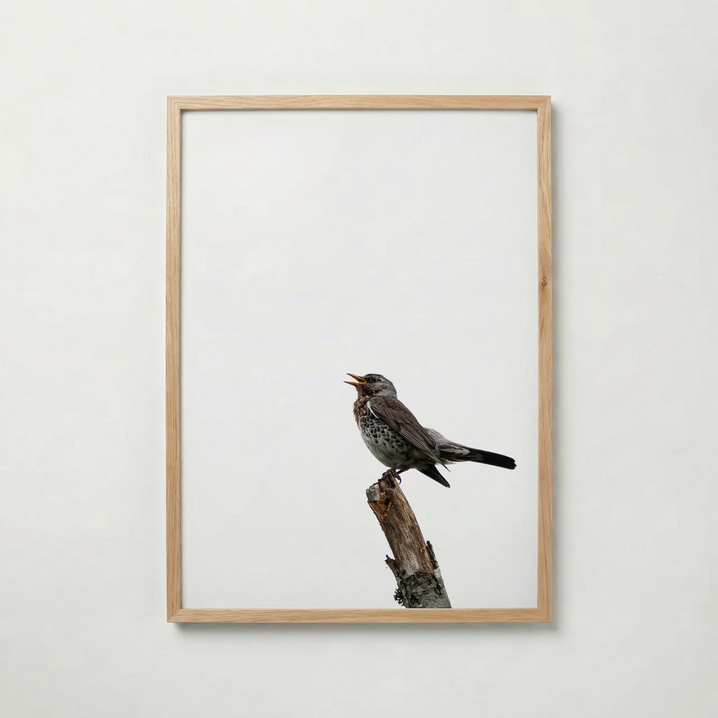 Gravitas Poster med ekram