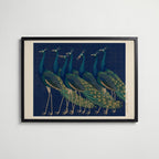 Indigo Peacocks Poster med svart ram