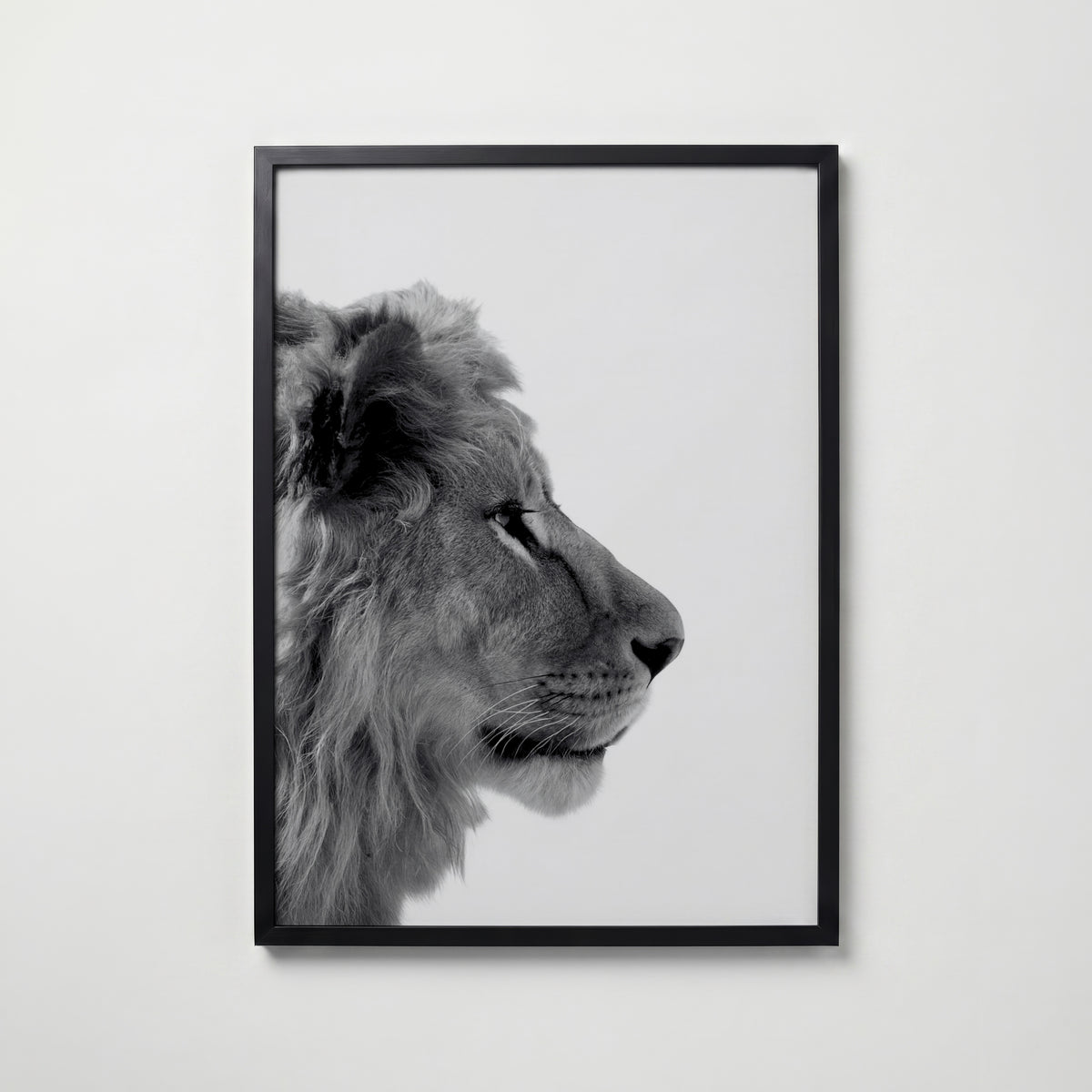 Lion In Profile Poster – svart ram