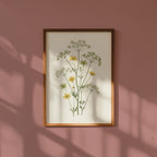 Meadow Buttercup Poster i rumskomposition med ekram