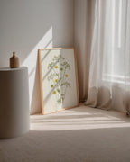 Meadow Buttercup Poster med valnötsram