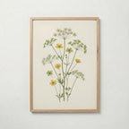 Meadow Buttercup Poster med ekram