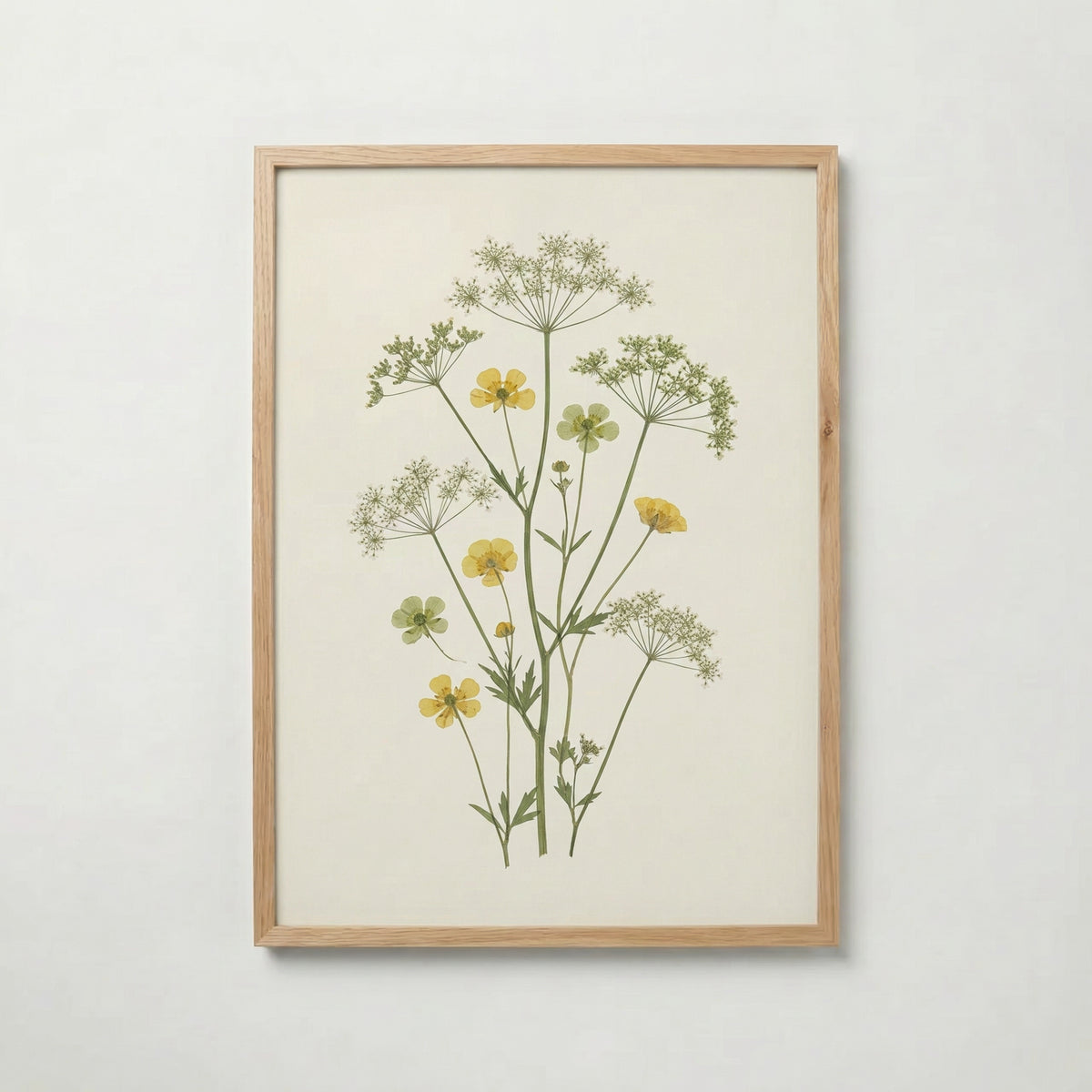 Meadow Buttercup Poster med ekram