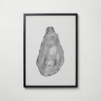 Silver Oyster Pearl Poster – svart ram