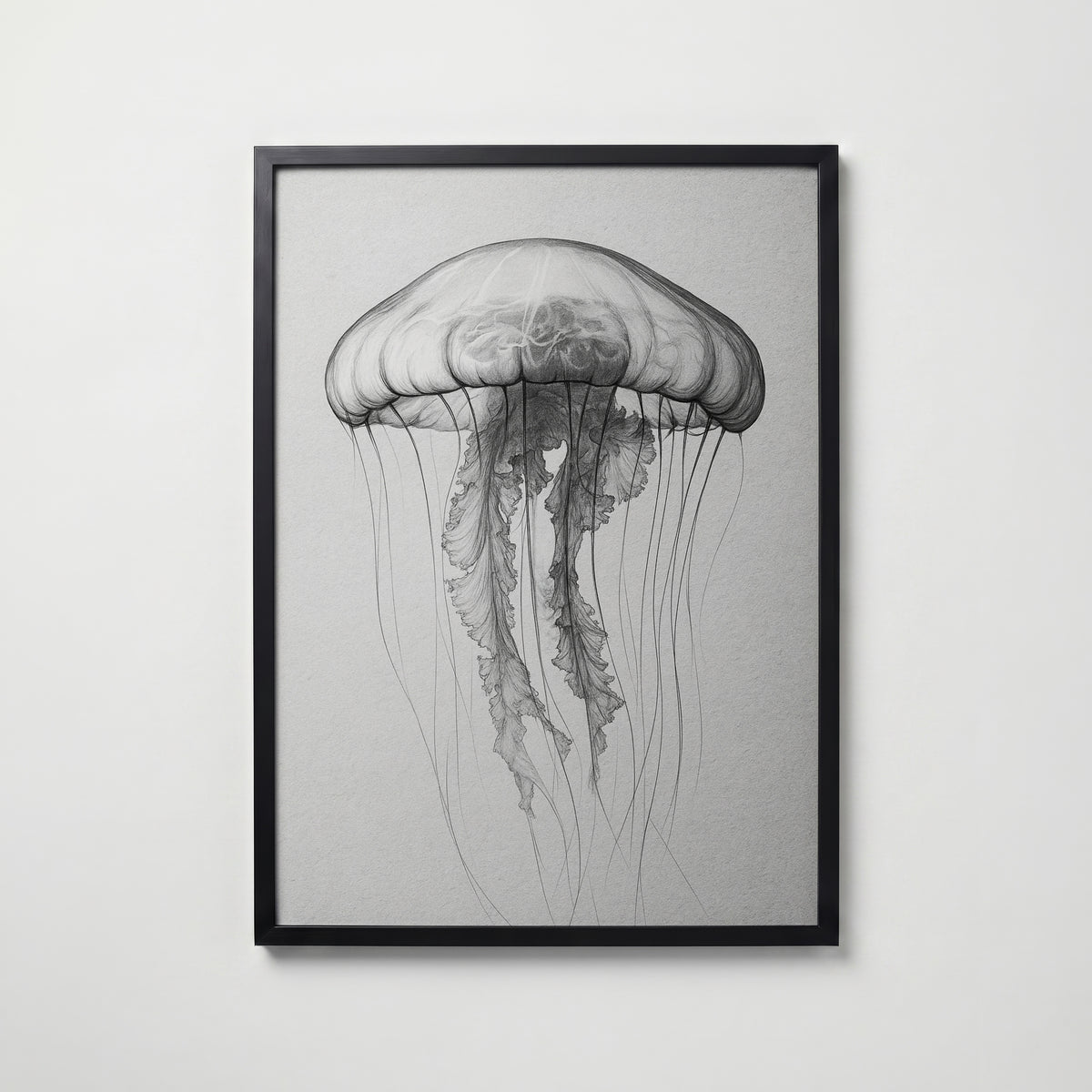 Drifting Jellyfish Sketch Poster – svart ram