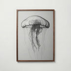 Drifting Jellyfish Sketch Poster – valnötsram